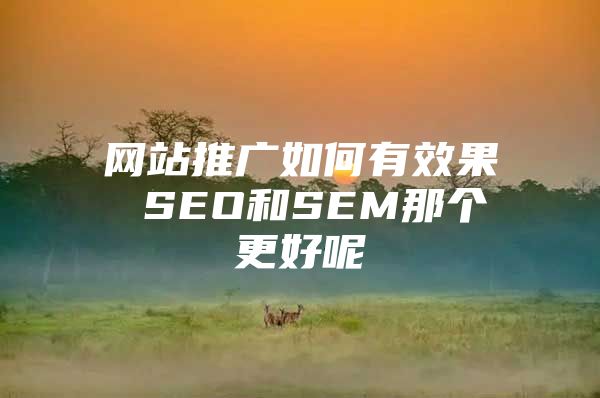 网站推广如何有效果 SEO和SEM那个更好呢