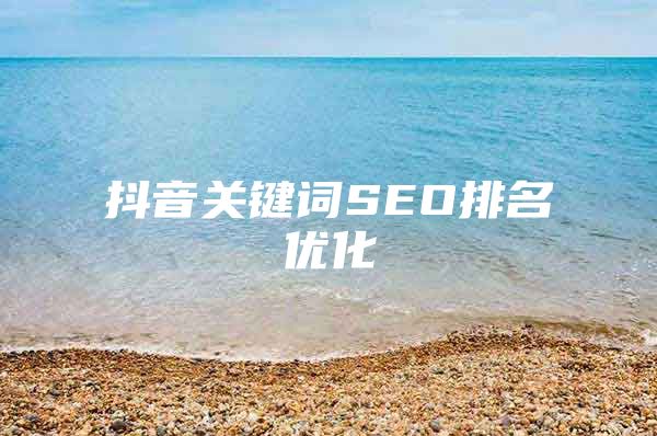 抖音关键词SEO排名优化