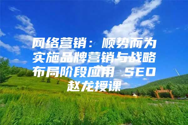 网络营销：顺势而为实施品牌营销与战略布局阶段应用 SEO赵龙授课