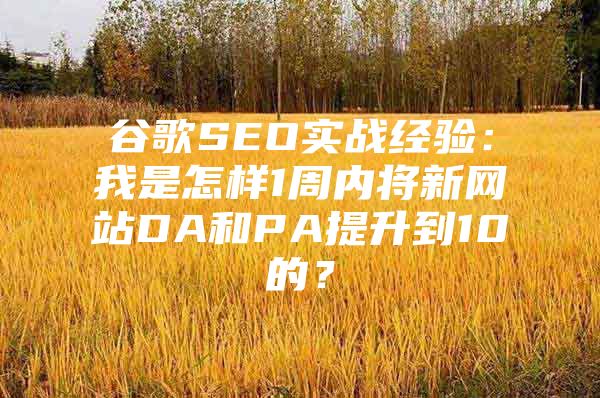 谷歌SEO实战经验：我是怎样1周内将新网站DA和PA提升到10的？