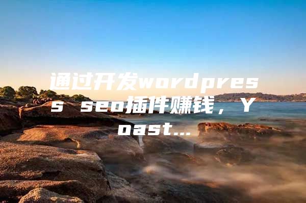 通过开发wordpress seo插件赚钱，Yoast...