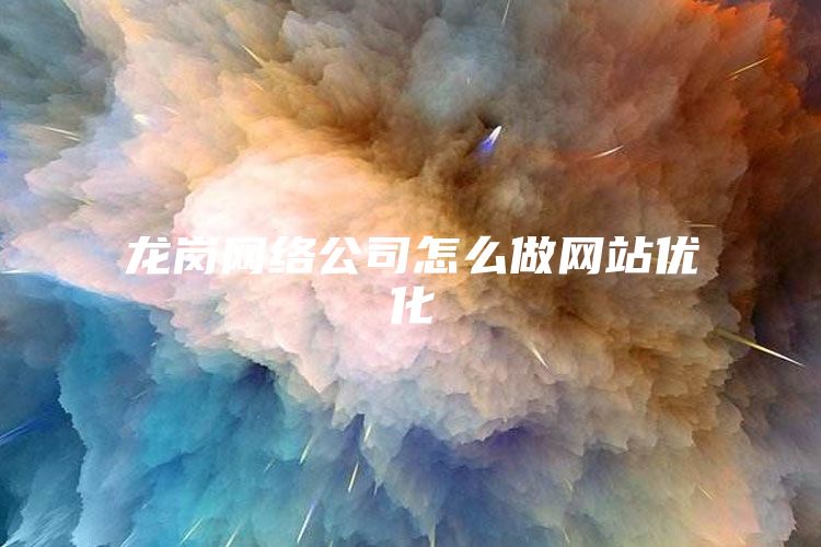 龙岗网络公司怎么做网站优化