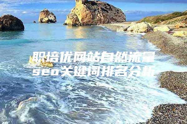 职培优网站自然流量seo关键词排名分析