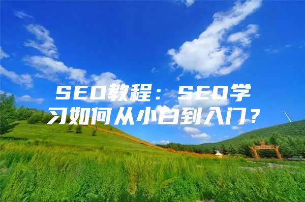 SEO教程：SEO学习如何从小白到入门？