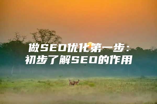 做SEO优化第一步：初步了解SEO的作用