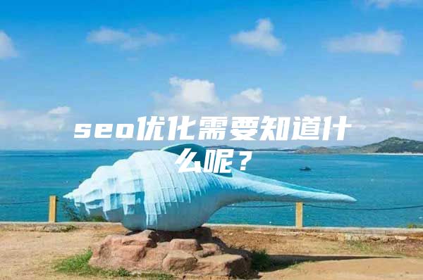 seo优化需要知道什么呢？