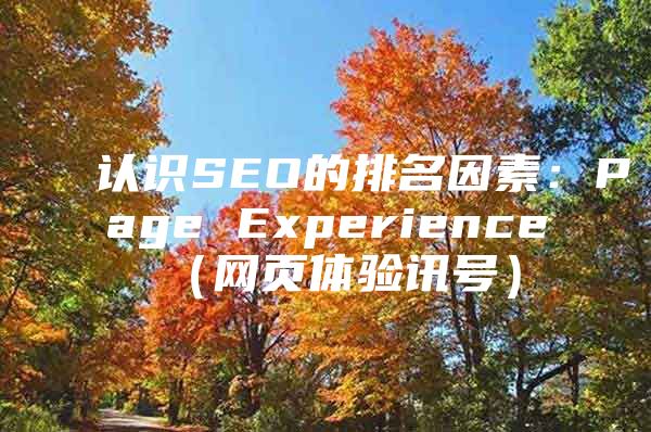 认识SEO的排名因素：Page Experience（网页体验讯号）