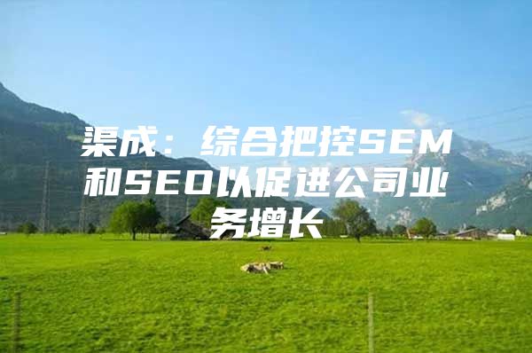 渠成：综合把控SEM和SEO以促进公司业务增长