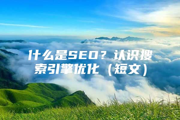 什么是SEO？认识搜索引擎优化（短文）