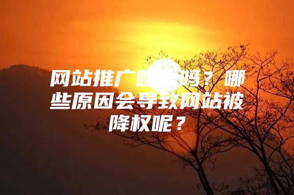 网站推广赚钱吗？哪些原因会导致网站被降权呢？