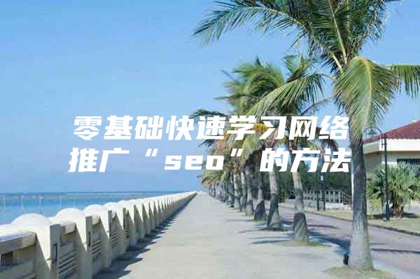 零基础快速学习网络推广“seo”的方法