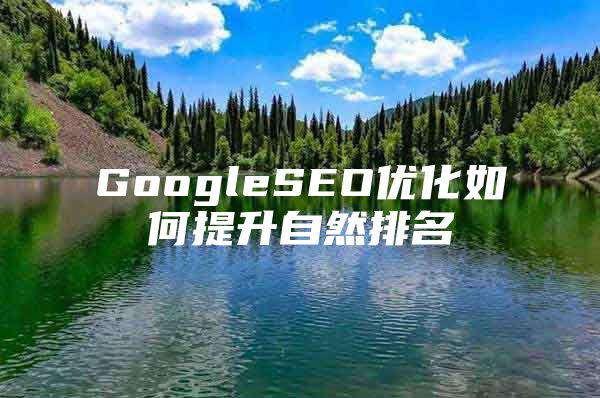 GoogleSEO优化如何提升自然排名