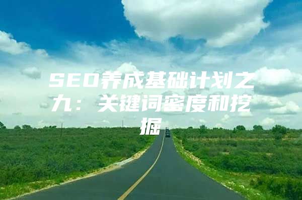 SEO养成基础计划之九：关键词密度和挖掘