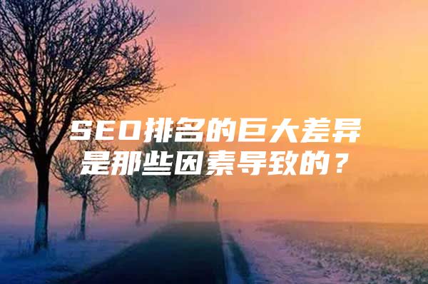 SEO排名的巨大差异是那些因素导致的？