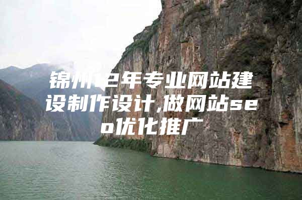 锦州12年专业网站建设制作设计,做网站seo优化推广