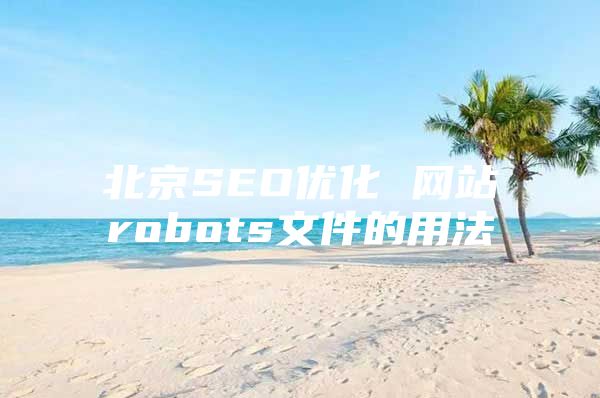 北京SEO优化 网站robots文件的用法