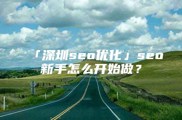 「深圳seo优化」seo新手怎么开始做？