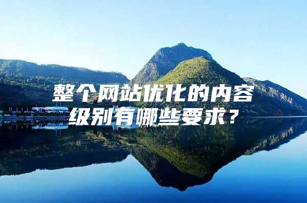 整个网站优化的内容级别有哪些要求？