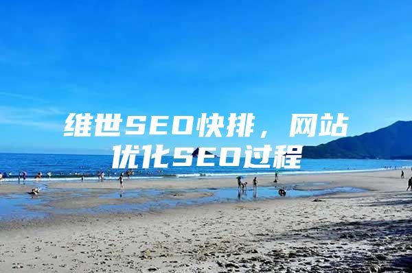 维世SEO快排，网站优化SEO过程