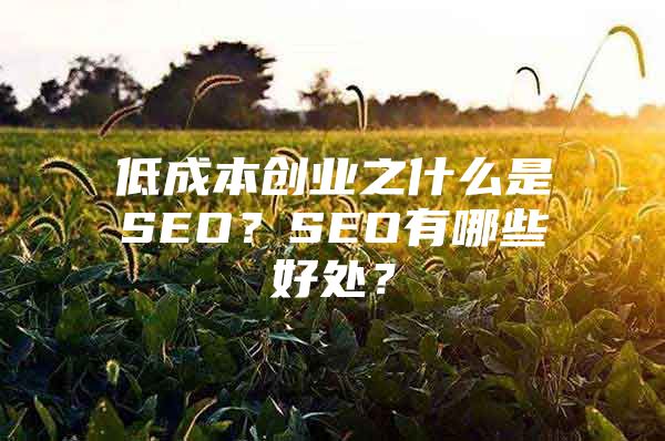 低成本创业之什么是SEO？SEO有哪些好处？