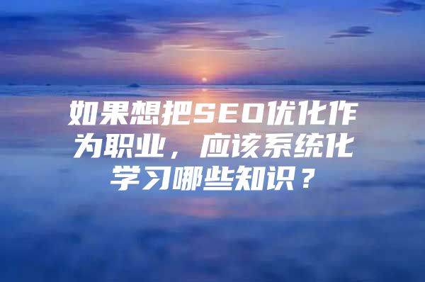 如果想把SEO优化作为职业，应该系统化学习哪些知识？