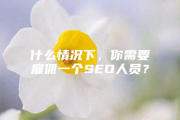 什么情况下，你需要雇佣一个SEO人员？