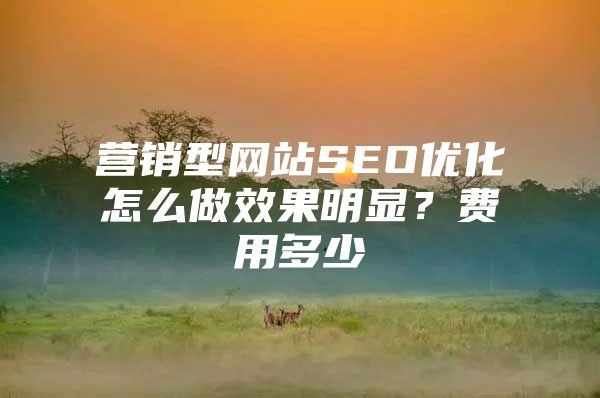 营销型网站SEO优化怎么做效果明显？费用多少