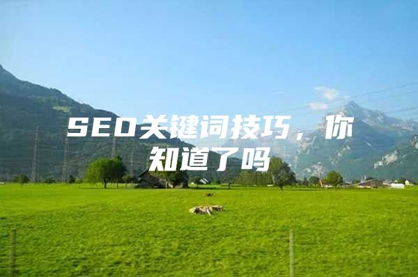 SEO关键词技巧，你知道了吗