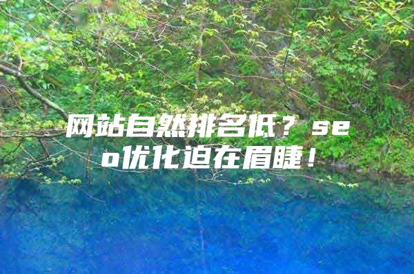 网站自然排名低？seo优化迫在眉睫！