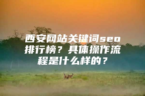 西安网站关键词seo排行榜？具体操作流程是什么样的？