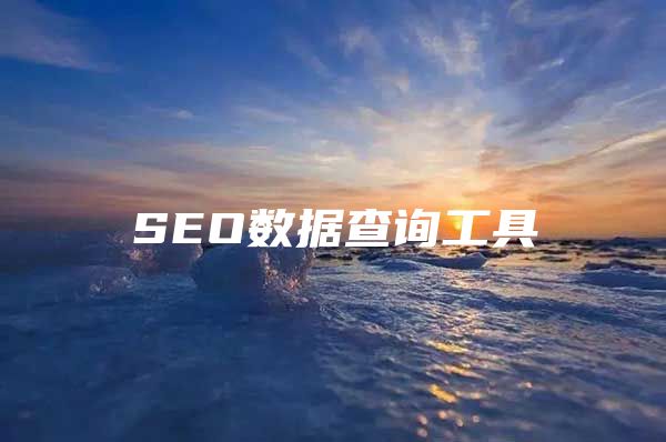 SEO数据查询工具