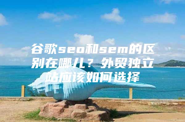 谷歌seo和sem的区别在哪儿？外贸独立站应该如何选择