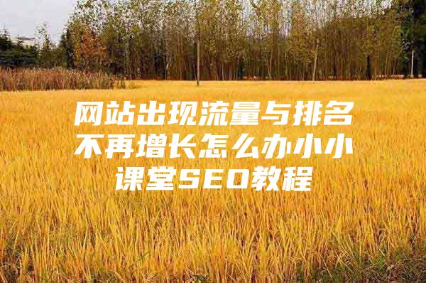 网站出现流量与排名不再增长怎么办小小课堂SEO教程