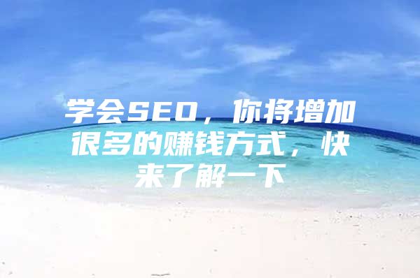 学会SEO，你将增加很多的赚钱方式，快来了解一下