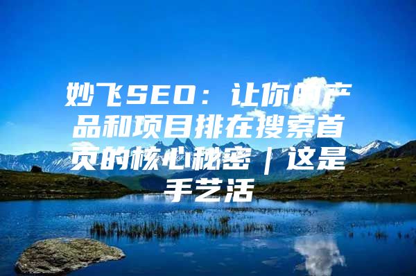 妙飞SEO：让你的产品和项目排在搜索首页的核心秘密｜这是手艺活