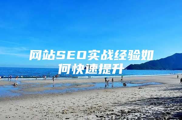 网站SEO实战经验如何快速提升