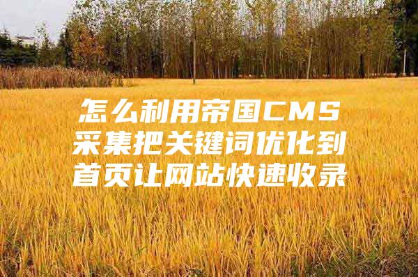 怎么利用帝国CMS采集把关键词优化到首页让网站快速收录