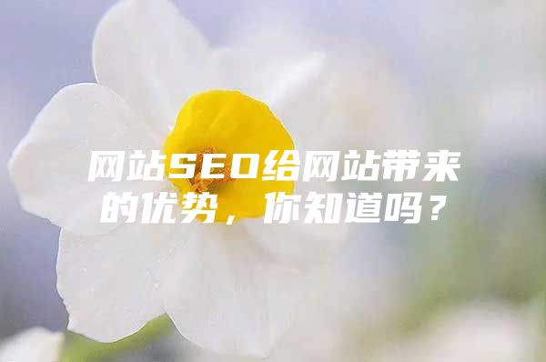 网站SEO给网站带来的优势，你知道吗？