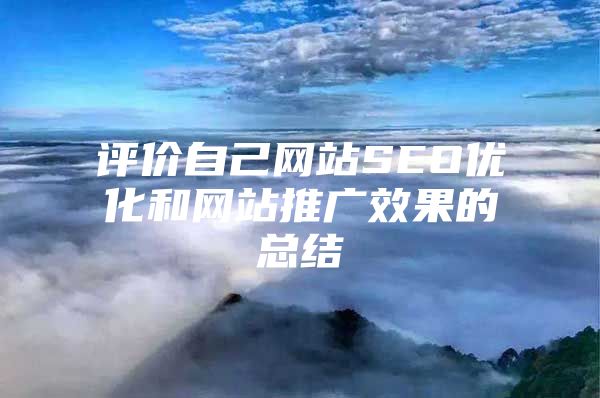 评价自己网站SEO优化和网站推广效果的总结