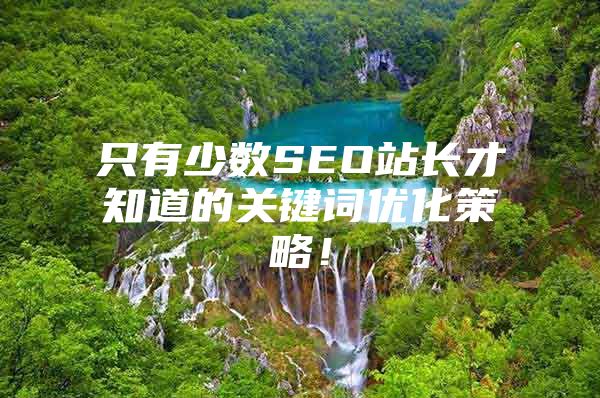 只有少数SEO站长才知道的关键词优化策略！