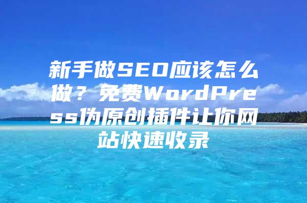 新手做SEO应该怎么做？免费WordPress伪原创插件让你网站快速收录