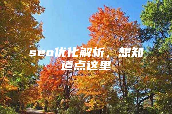 seo优化解析，想知道点这里