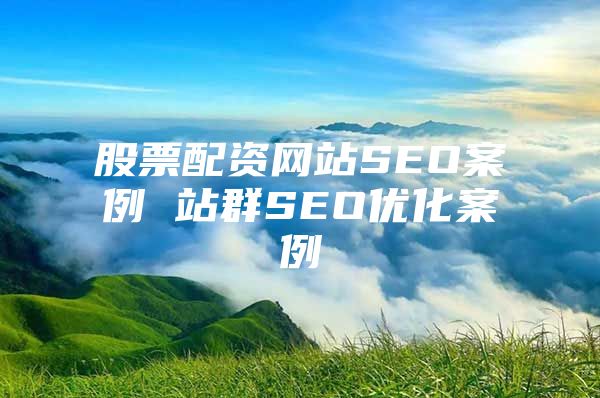 股票配资网站SEO案例 站群SEO优化案例