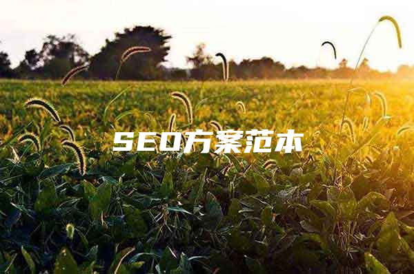 SEO方案范本