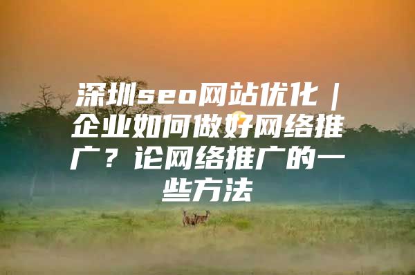 深圳seo网站优化｜企业如何做好网络推广？论网络推广的一些方法