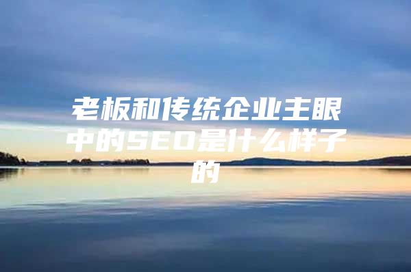 老板和传统企业主眼中的SEO是什么样子的