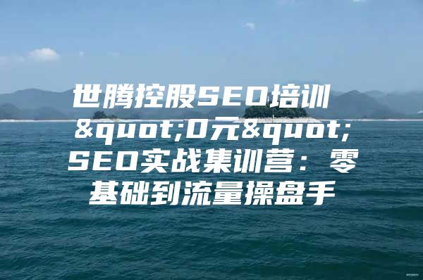 世腾控股SEO培训 "0元"SEO实战集训营：零基础到流量操盘手