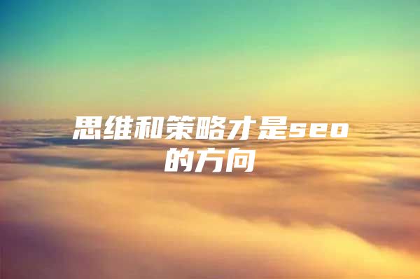 思维和策略才是seo的方向