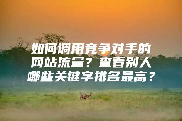 如何调用竞争对手的网站流量？查看别人哪些关键字排名最高？