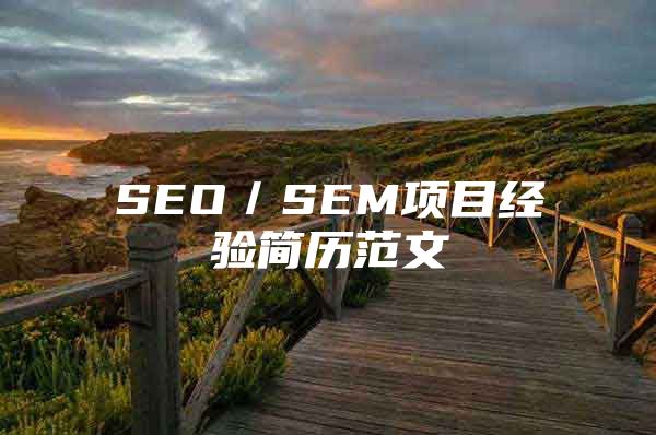 SEO／SEM项目经验简历范文